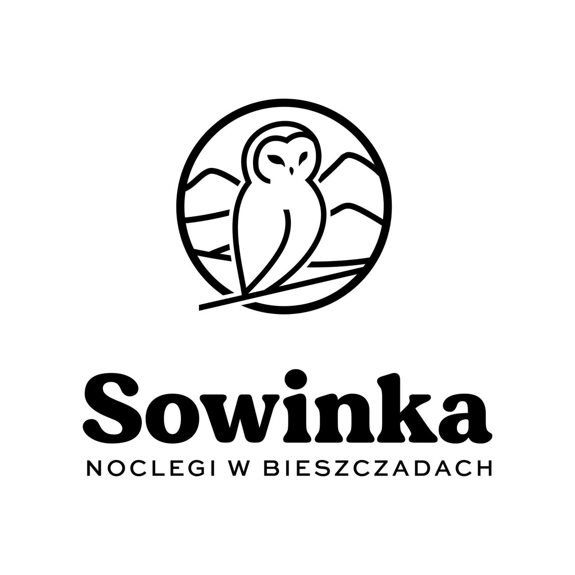 Sowinka Villa Lutowiska Exterior photo