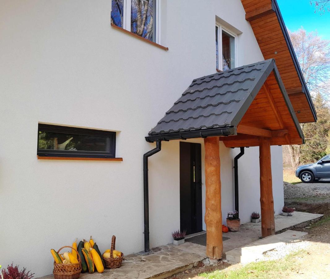 Sowinka Villa Lutowiska Exterior photo
